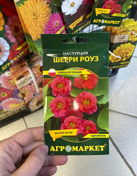 настурция Шерри Роуз